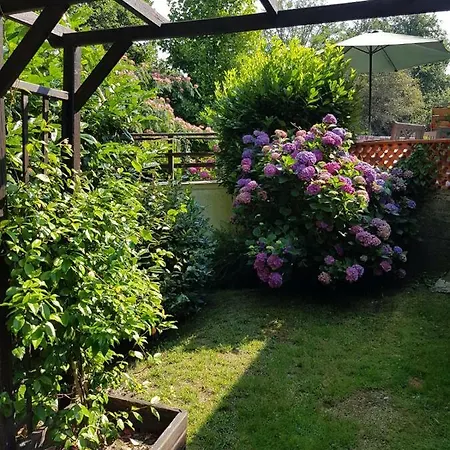 Au Domaine De L'etang Garrosse-morcenx La Nouvelle Holiday home